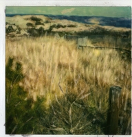 Manipulated-Polaroids-020