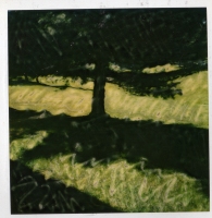Manipulated-Polaroids-025