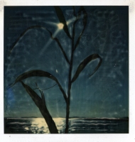 Manipulated-Polaroids-042