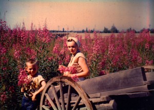 We are standing in a field of fireweed outside Anchorage, Alaska, near our cabin.