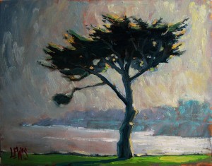 "Lovers Point Cypress", Catalog# 847, Oil on Canvas, 14"x11". A single cypress stands tall above the park at Lovers Point.